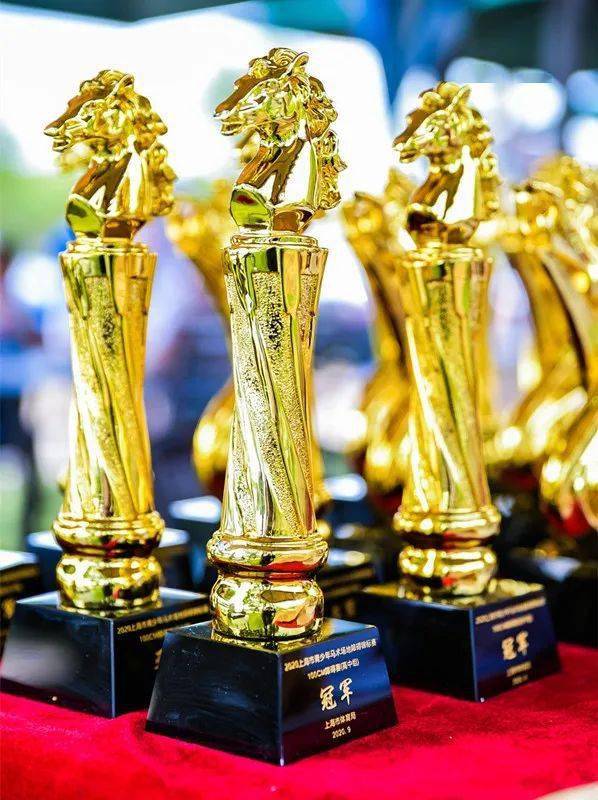 黎巴嫩选手在马术项目中喜获奖杯 黎巴嫩选手在马术项目中喜获奖杯